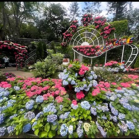 Miaoli Sanyi Shantongyazhu Homestay Exteriér fotografie